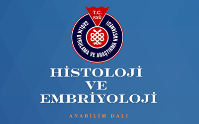 enfeksiyon (33)
